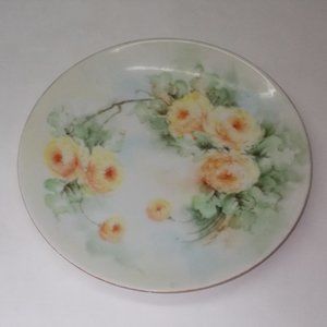 Elegant EUC, Vintage China Painted Floral hand painted dish